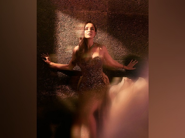 Malaika Arora’s Stunning Glittery Gown Malaika Arora’s Stunning Glittery Gown