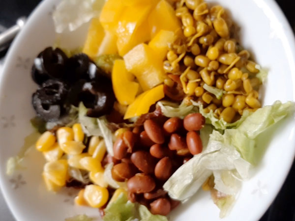 Oil-Free Le Garden Protein Power Salad