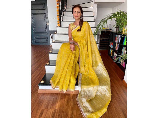 Dia Mirza Sarees
