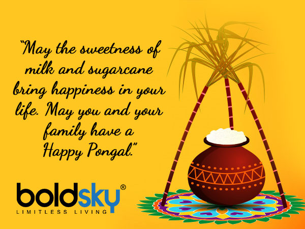 Pongal 2021 Quotes And Wishes