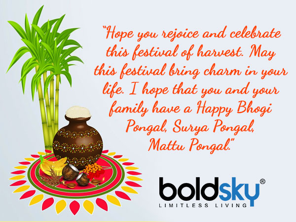 Pongal 2021 Quotes And Wishes