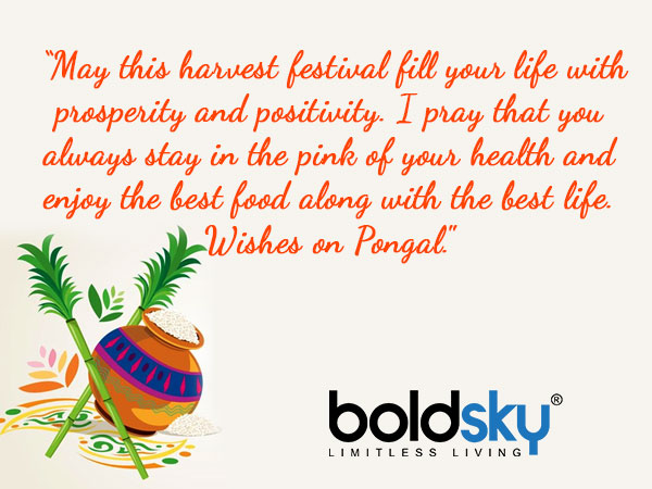 Pongal 2021 Quotes And Wishes