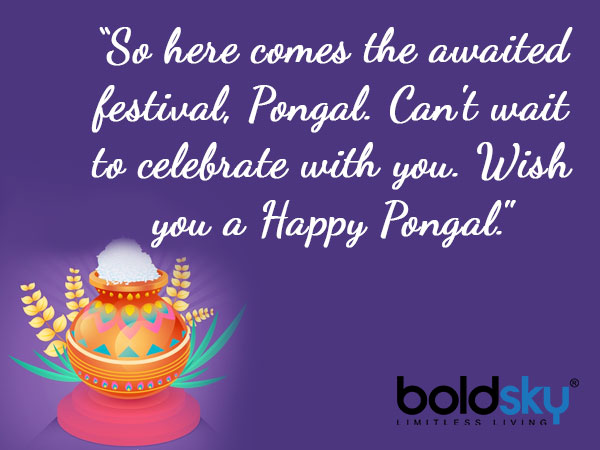 Pongal 2021 Quotes And Wishes