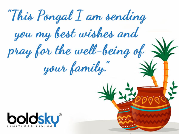 Pongal 2021 Quotes And Wishes