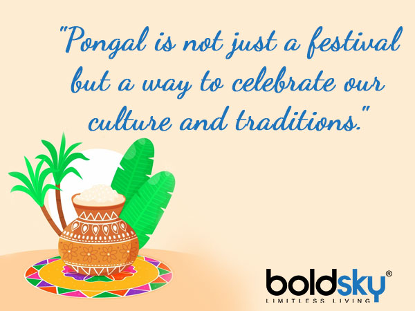 Pongal 2021 Quotes And Wishes