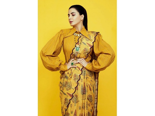 Kirti Kulhari Sarees