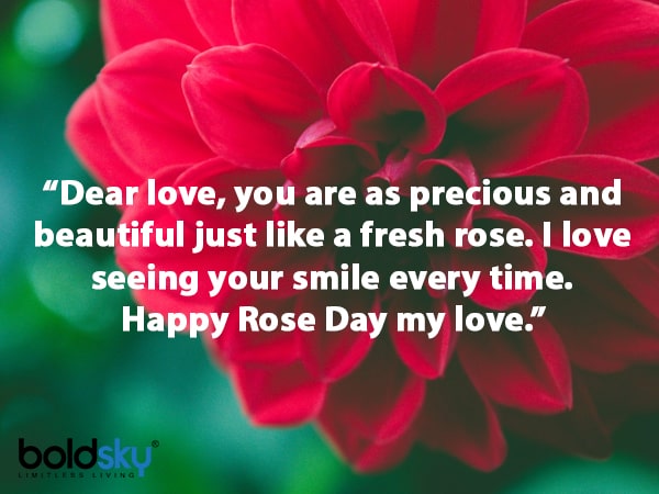 Rose Day 2021: Quotes, Messages & Images