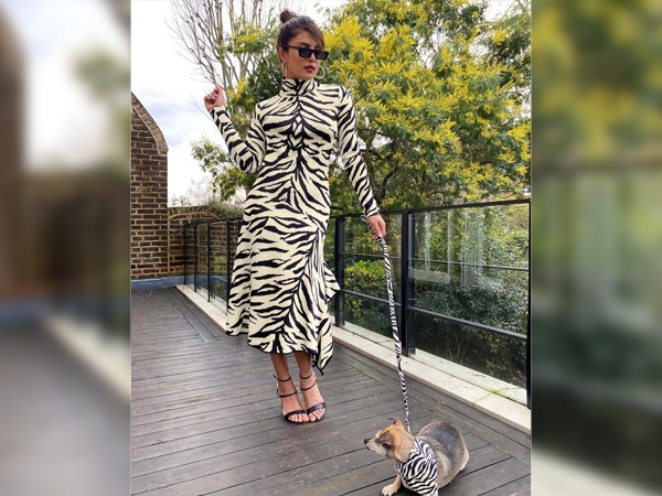 Priyanka Chopra The White Tiger