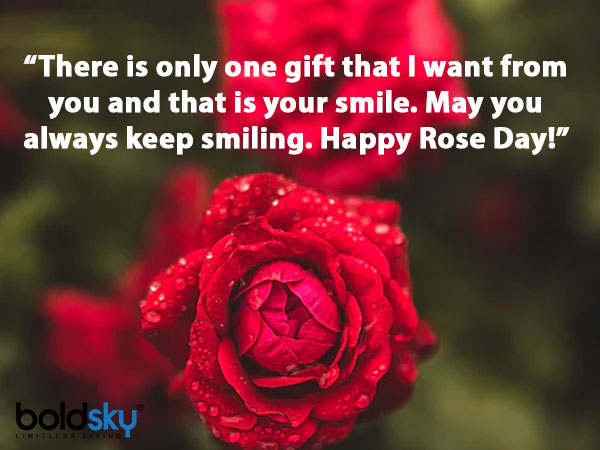 Rose Day 2021: Quotes, Messages & Images