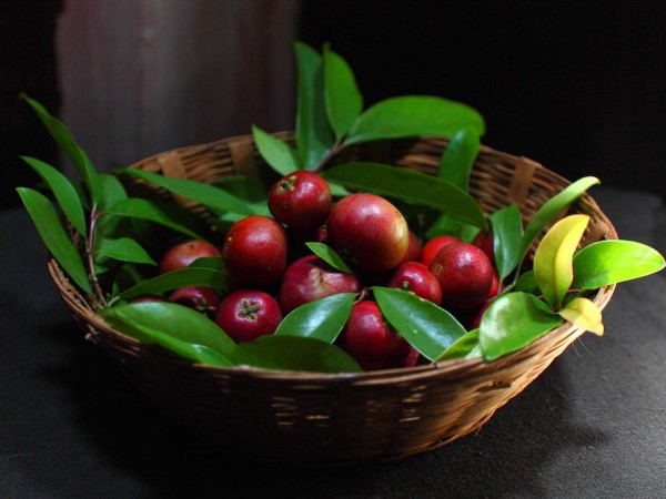 Uses And Benefits Of Kokum Uses And Benefits Of Kokum