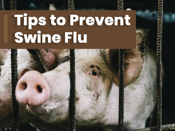 7. Healthy Tips On How To Prevent Swine Flu