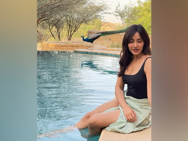 Neha Sharma In A Chic Swimwear