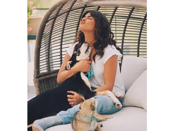 Priyanka Chopra Jonas Dogs Priyanka Chopra Jonas Dogs