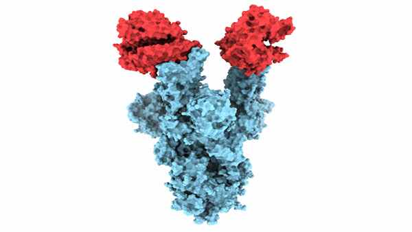  first molecular images of B.1.1.7 variant of Covid-19