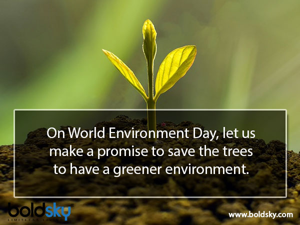 World Environment Day World Environment Day
