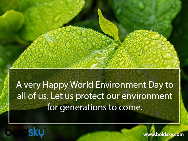 World Environment Day World Environment Day