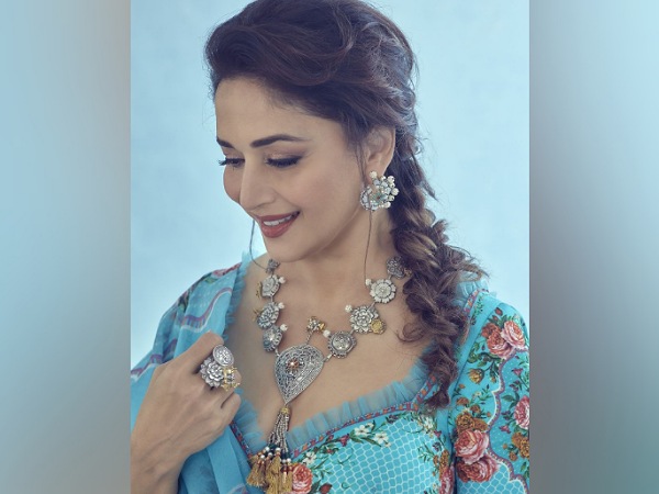 Madhuri Dixit Nenes Messy Side Braid