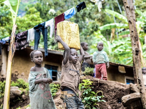 What Is Kala-Azar (Black Fever)? What Is Kala-Azar (Black Fever)?