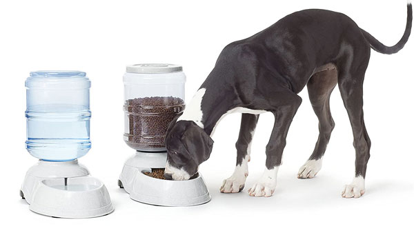 Product For Pets On Amazon