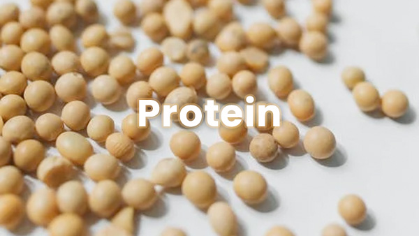 Soybean And Diabetes