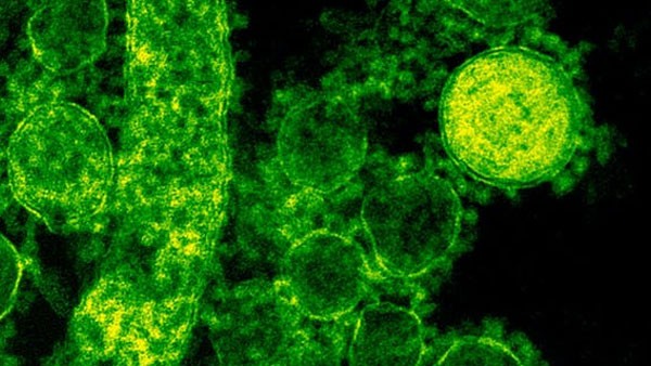 Eta Variant Of COVID-19 Found In Karnataka