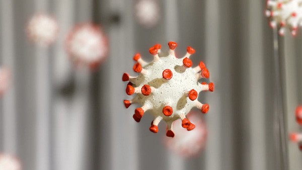 Eta Variant Of COVID-19 In Karnataka