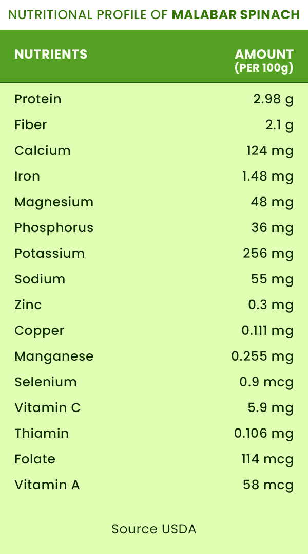 Nutritional Profile Of Malabar Spinach