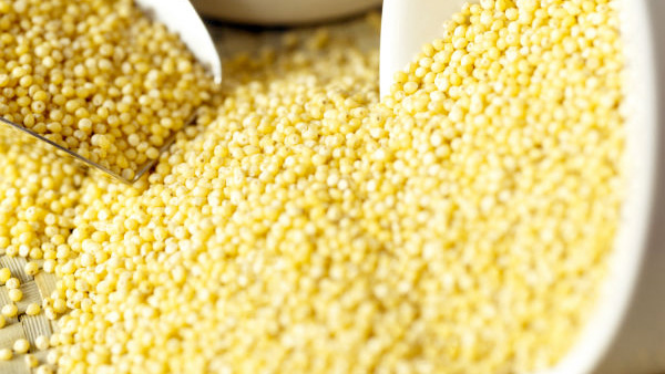 What Are Millets?