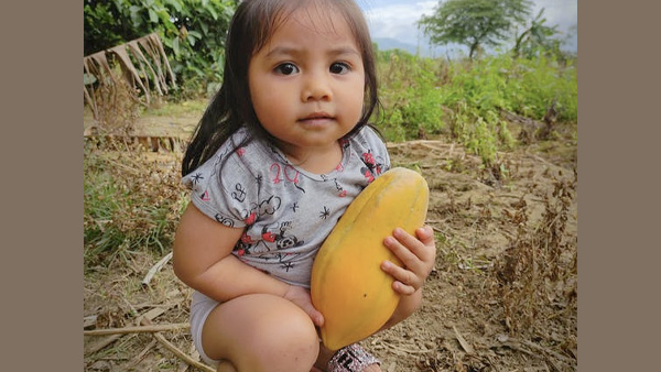 Benefits Of Papaya For Babies