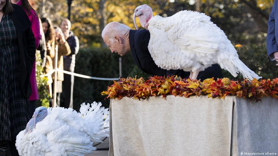 US President Joe Biden is seen here pardoning a turkey on November 19