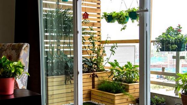 Balcony Plants 1 Balcony Plants 1