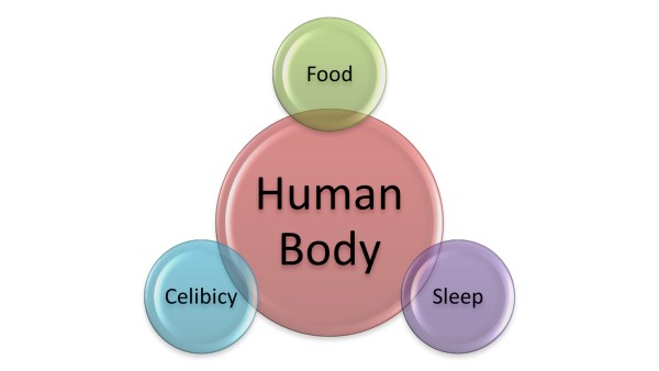 Expert Article: Food, Sleep And Celibacy - The Health Triode
