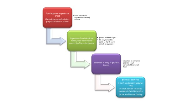 Expert Article: Food, Sleep And Celibacy - The Health Triode