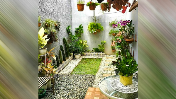 Tips On Selecting The Right House Plants