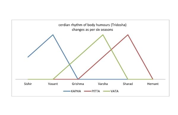 Vasantik Vaman, Preventive Purification Procedure For Better Health