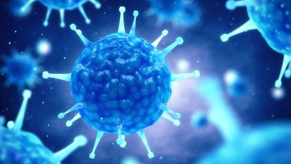 PM Narendra Modi Interacts With Chief Ministers To Review The Covid-19 Situation