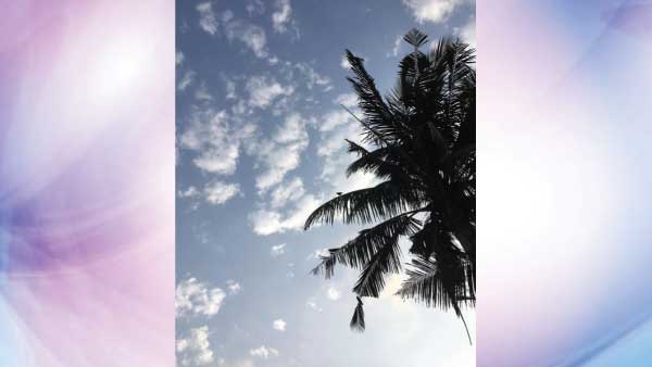 Expert Tips To Keep The House Cool 