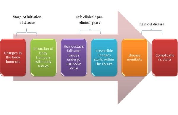 Kidney Disease And Ayuveda Kidney Disease And Ayuveda