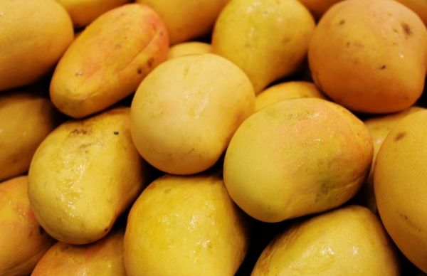 Mango For Hair: Is It Good? 2 Quick And Easy DIY Hair Packs Mango For Hair: Is It Good? 2 Quick And Easy DIY Hair Packs