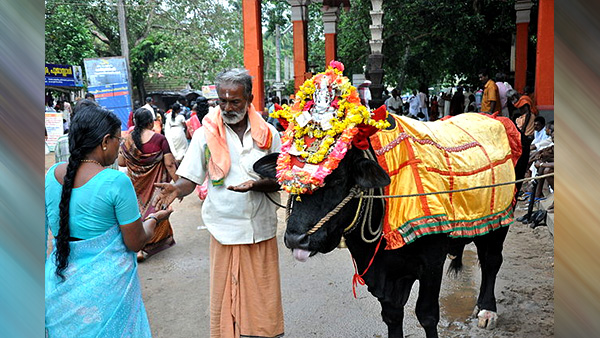 Ochira Kali Festival 2022: Date, Time