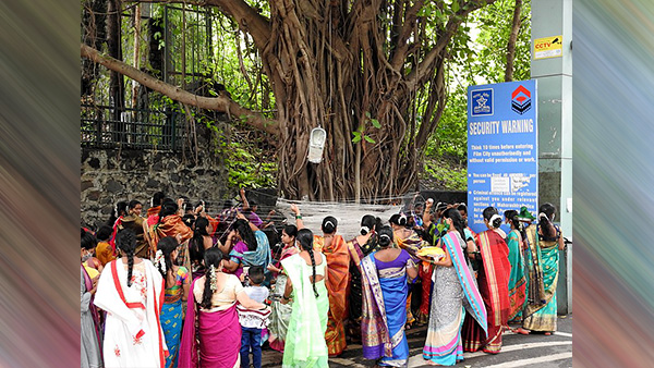 Vat Savitri Vrat is based on a saga of true love and determination of a forlorn woman, who had lost her husband to the whims of fate. She travelled beyond the earthly world to release the soul of her deceased husband from the clutches of the Hindu god of death, Yama, and bring him back to life. True love in her case, had transcended the earthly realms to achieve the impossible. Her sacrifice immortalized her in the eyes of Indians and the ancient sacred lore. Women gradually took to performing the Vat Savitri Vrat, which had been performed by Savitri for the revival and well-being of her husband. This vrat is also named Vat Amavasya. Scroll down to know more about the Savitri Vrat. Vat Savitri Vrat: Date And Time The festival is celebrated twice a year, according to the Hindu Calendar. - Amanta and Purnimanta. Purnimanta calendar is followed by the northern states whereas Amanta is followed by the southern states. However, both days occur in the month of Jyeshtha. This year, the Vat Purnima Vrat will be performed on 13 June 2022 in South India. Purnima tithi begins at 09:02 pm on 13 June and the Purnima tithi ends at 05:21 pm on 14 June. Vat Purnima Vrat 2022: Puja Rituals This is the festival for the married women and the vrat katha for this festival is taken after the life and story of the true love of the royal couple, Satyavan and Savitri. Savitri even today represents the ideal of true womanhood. The vrat details are as follows: On the first day (Thrayodashi) of the fast, apply the sesame paste and amla (Indian gooseberry), 	 consume the Banyan roots during Vat Savitri Vrat, 	 if the Banyan tree is not close by, just paint it on a piece of wood or plate using turmeric or sandalwood paste. Continue to worship it for three continuous days, 	 	 on the fourth day of the fast, wake up in the early hours and take a ritual bath,. 	 place the idols of Satyavan-Savitri and Yama below the banyan tree, 		 	 wear a wedding attire, vermillion and jewellery, pray to the banyan tree and Savitri, who is the deity for this vrat, 	 sprinkle some vermillion on the tree and tie sacred threads in red and yellow colours, around the tree trunk. Take 7 rounds around the Banyan tree and offer your heartfelt prayers, 	 break the fast on the Purnima day by consuming prasad which is prepared by mixing wet pulses, mango, jack fruits, banana, and lemon. Vat Savitri Vrat 2022: Legend Associated With This Day King Ashvapati and his queen were childless, for a long time. After a dedicated penance, to Lord sun, they were blessed with a girl child who was named Savitri. The girl surprisingly was ascetically inclined even during her growing years. Unable to find a match for her, the parents allowed her to look out for a husband. During the groom search, she found the exiled blind king Dyumatsena and his charming son Satyavan in the dense forest. She expressed a desire to marry Satyavan. However, Maharshi Narad intervened and predicted a fatal danger to Satyavan’s life after marriage. He foretold that the prince will die within a year of marrying Savitri. Savitri was blinded in love and concern and her humane instincts got the better of her at that moment. Willfully, she moved along with her husband to the forests and started living the life of a mendicant, relinquishing all royal comforts. Time flew without notice and the couple had spent almost a year of wedded bliss. That fateful day arrived. Savitri began the fast, in the morning and later followed her husband to the forest. Death approached Satyavan and he collapsed to death while chopping the wood. Yama, the god of death, arrived at the scenario to take away Satyavan. Savitri decided to follow Yama till he returned her husband’s soul back to her. After three days and nights, Lord Yama gave in and asked Savitri for any three wishes that he will grant for her. Savitri, clever as she was, asked Yama to restore her husband’s lost empire, and the vision to her blinded father-in-law. She did not give up on her sojourn at this point. Yama greatly perplexed decided to grant her another boon. This time, Savitri asked for progeny from Satyavan. Yama, who was at his wit’s end, granted her immediately what she requested of him. As a result of her Tapasya, Satyavan rose from the dead and retrieved his lost empire including the lost vision of his blind father. Since this day, this saga of Savitri has inspired millions of Hindu women to follow her. Vat Savitri Vrat 2022: History And Significance If you are wishing for fortune, well-being, long life and prosperity of your husband as well as for undisturbed peace in marital life, this vrat can guarantee the ultimate solution. Women pledge loyalty to their husbands during this vrat and pray that they will be united with their husbands in the next birth as well. Savitri Vrat is the ultimate symbol of commitment and dedication that a woman can display towards achieving long lasting marital bliss. The Vat or Banyan tree represents the holy trinity- Brahma, Vishnu, and Shiva. Vat Savitri vrat begins two days before the Amavasya or Purnima in the Jyeshta month. This vrat, if followed judiciously, is believed to bring good luck and fortune to the husband of the worshipping woman. Disclaimer: The information is based on assumptions and information available on the internet and the accuracy or reliability is not guaranteed. Boldsky does not confirm any inputs or information related to the article and our only purpose is to deliver information. Kindly consult the concerned expert before practising or implementing any information and assumption Image sources: Wikimedia Commons