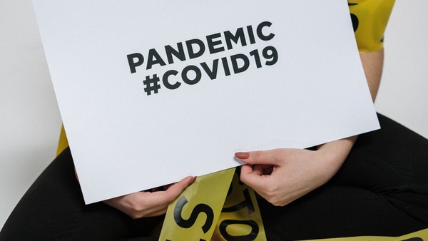 Trained Sniffer Dogs To Detect Covid