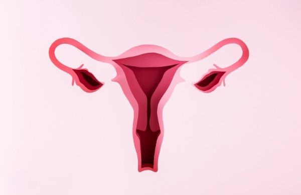 Endometriosis: Causes, Symptoms, Risks, Treatment And Prevention