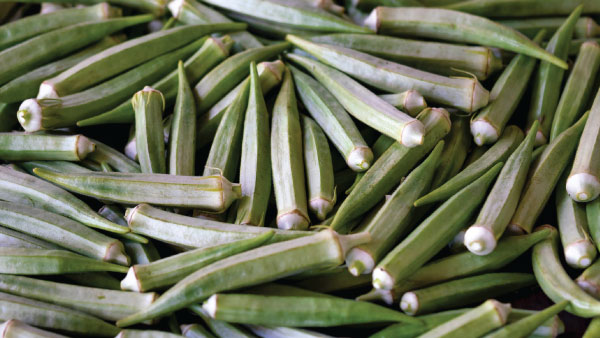 Monsoon Gardening: 8 Best Plants And Veg