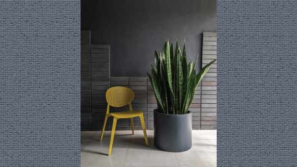 Tulsi, Money Plant, Bamboo: Six Best 