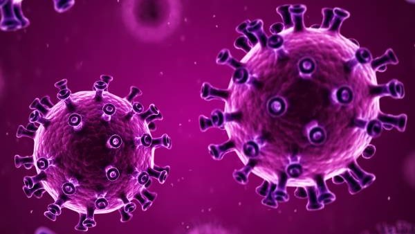 Covid-19 Vaccines Dont Cause Monkeypox, Shingles