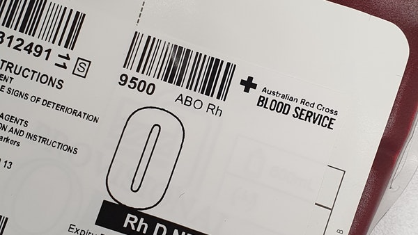 WHO Urges For Unpaid Blood Donations