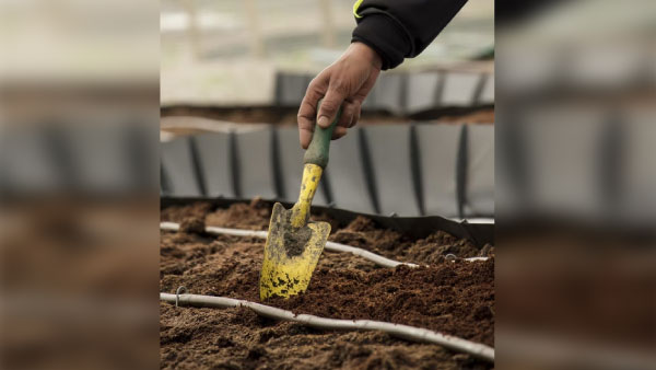 o Care For Plants During The Monsoon