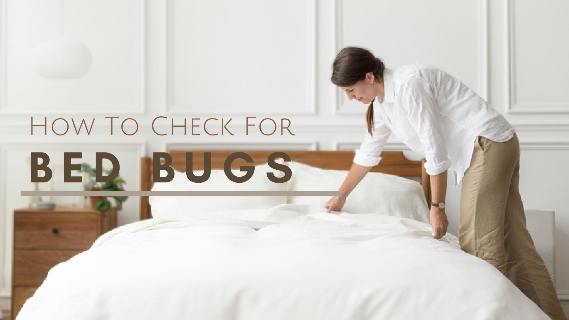 How To Check For Bed Bugs In Hotel Rooms How To Check For Bed Bugs In Hotel Rooms