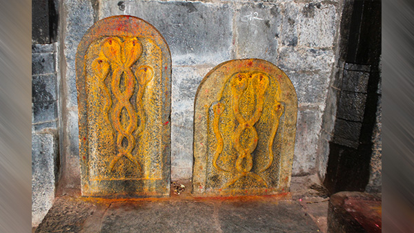 Nag Panchami 2022: Why Do People